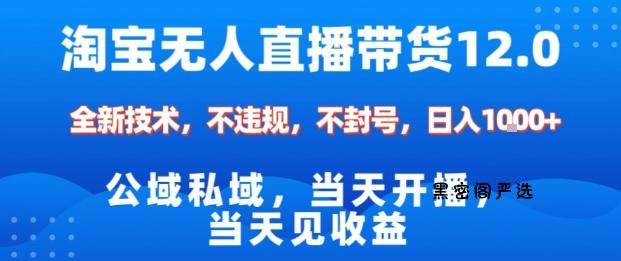 淘宝无人直播12.0，公域私域技术，不封号，不违规布局双十一流量风口，日入1k(独家技术)【揭秘】-HeiMiGe