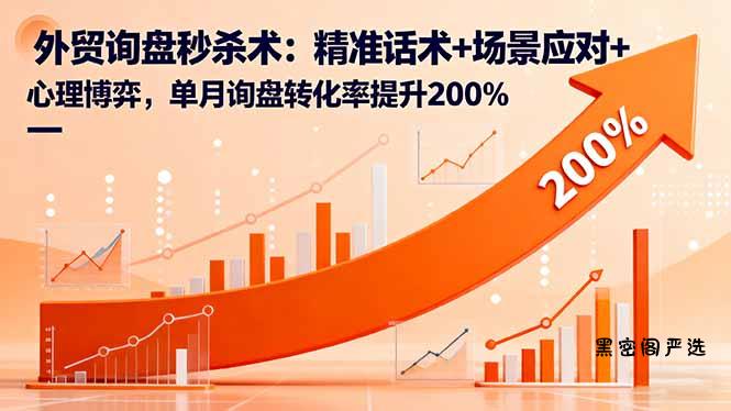 外贸询盘秒杀术：精准话术+场景应对+心理博弈，单月询盘转化率提升200%-HeiMiGe