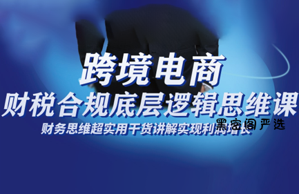 跨境电商财稅合规底层逻辑思维课-HeiMiGe
