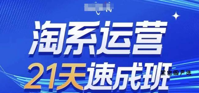 淘系运营21天速成班(更新25年10月)，0基础轻松搞定淘系运营，不做假把式-HeiMiGe