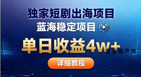 全网独家短剧出海掘金，蓝海红利，单日最高收益5w+，别卷国内了【揭秘】-HeiMiGe