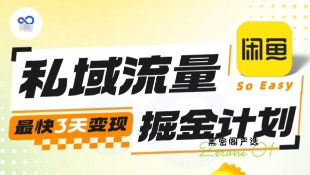 私域流量掘金计划实战训练营，最快3天变现-HeiMiGe