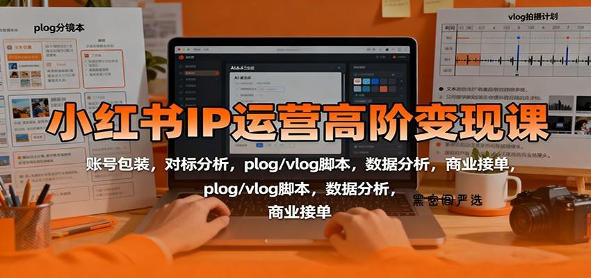 小红书IP运营高阶变现课：账号包装，对标分析，plog/vlog脚本，数据分析，商业接单-HeiMiGe