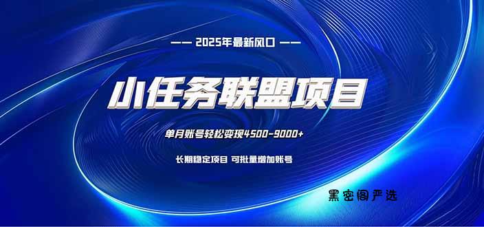 小任务联盟项目：一台电脑每天只需10分钟，轻松简单稳定-HeiMiGe