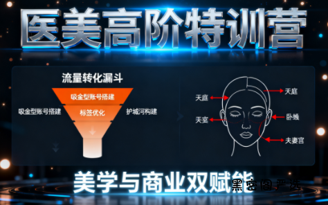 0-1000万医美高阶特训营课程-HeiMiGe