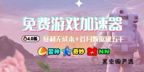 游戏加速器项目4.0_最新打法思路(爱玩游戏也能边玩边被动收益)-HeiMiGe