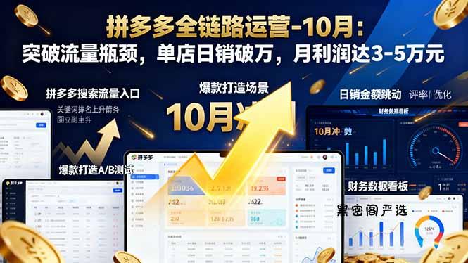 拼多多全链路运营-10月：突破流量瓶颈，单店日销破万，月利润达3-5万元-HeiMiGe