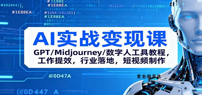 AI实战变现课：GPT/Midjourney/数字人工具教程，工作提效，行业落地，短视频制作-HeiMiGe