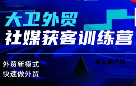 大卫老师·外贸社媒获客独家训练营(更新)-HeiMiGe