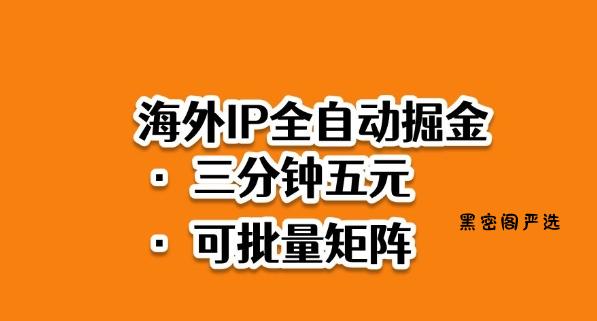 海外ip全自动掘金，2025必做蓝海项目，3分钟落地，矩阵直接开干【揭秘】-HeiMiGe