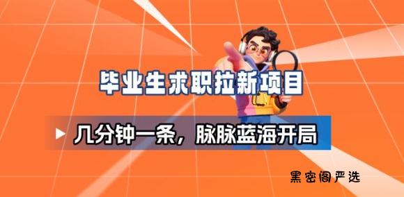 毕业生求职项目拆解_脉脉拉新空白市场，蓝海开局-HeiMiGe