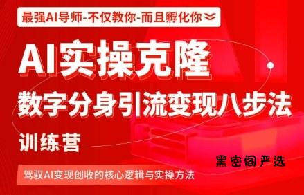 AI实操克隆：数字分身引流变现八步法训练营，驾驭AI变现创收的核心逻辑与实操方法-HeiMiGe