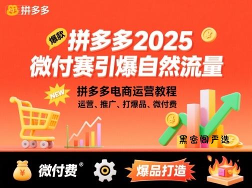 拼多多2025微付费引爆自然流量,拼多多电商运营教程,运营、推广、打爆品、微付费(更新)
