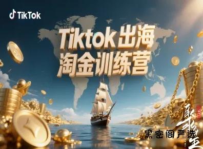 Tiktok出海淘金训练营，跨境电商TK实战变现-HeiMiGe
