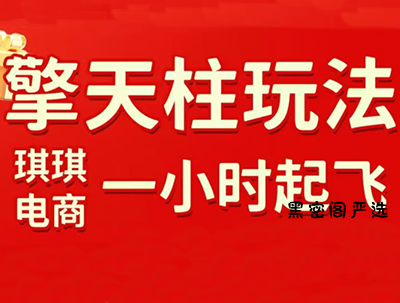 琪琪电商·拼多多擎天柱玩法(1.0+1.5)-HeiMiGe