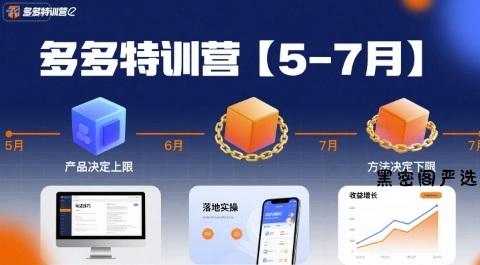 多多特训营，产品决定上限，方法决定下限，各种玩法技巧落地实操(更新)-HeiMiGe