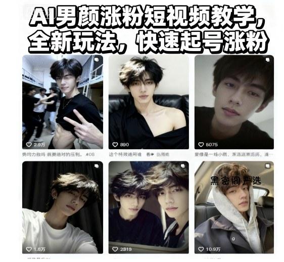 AI男颜涨粉短视频教学，全新玩法，快速起号涨粉-HeiMiGe