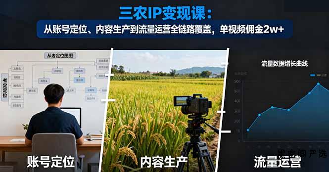 三农IP变现课：从账号定位、内容生产到流量运营全链路覆盖，单视频佣金2w+-HeiMiGe