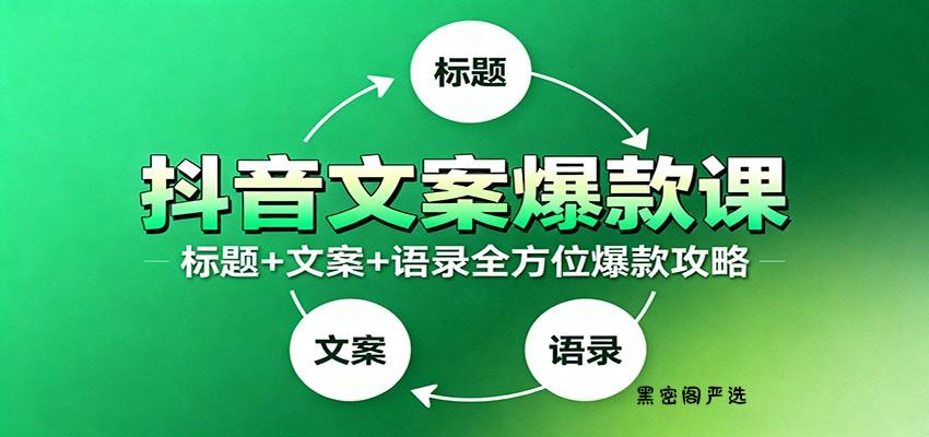 抖音文案爆款课:9大标题绝招,各类型必火文案,100条万能文案情感语录-HeiMiGe