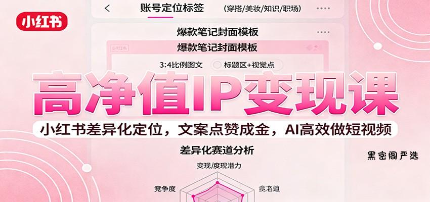 高净值IP变现课：小红书差异化定位，文案点赞成金， AI高效做短视频-HeiMiGe