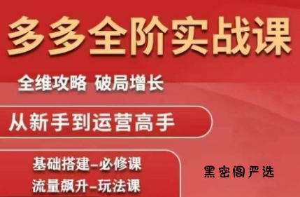 大炮·拼多多全阶实战课程(更新10月)-HeiMiGe