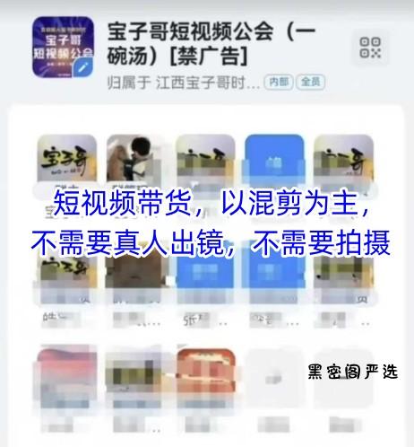 宝子哥头部团队短视频带货，以混剪为主，不需要真人出镜，不需要拍摄【更新9月】-HeiMiGe