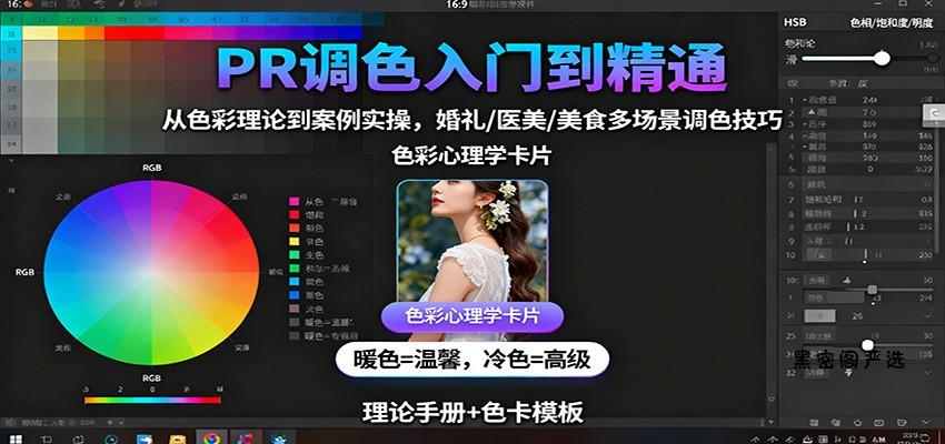 PR调色入门到精通：从色彩理论到案例实操，婚礼/医美/美食多场景调色技巧-HeiMiGe