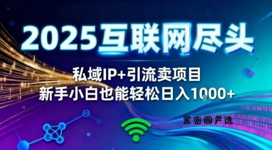 2025网创尽头王炸项目！私域IP+精准引流，新手小白在家躺賺日入1k，零经验也能上手【揭秘】-HeiMiGe