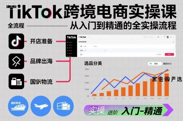 TikTok跨境电商实操课，从入门到精通的全实操流程-HeiMiGe