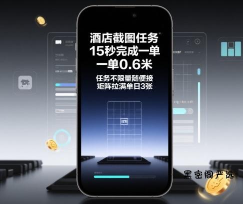 酒店截图任务，15秒完成一单，一单0.6米，任务不限量随便接，矩阵拉满单日3张【揭秘】-HeiMiGe