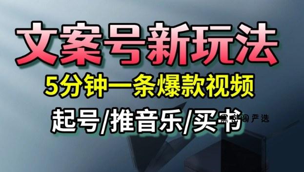 文案号新玩法，5分钟一条爆款视频，流量高，起号快，多方位变现-HeiMiGe
