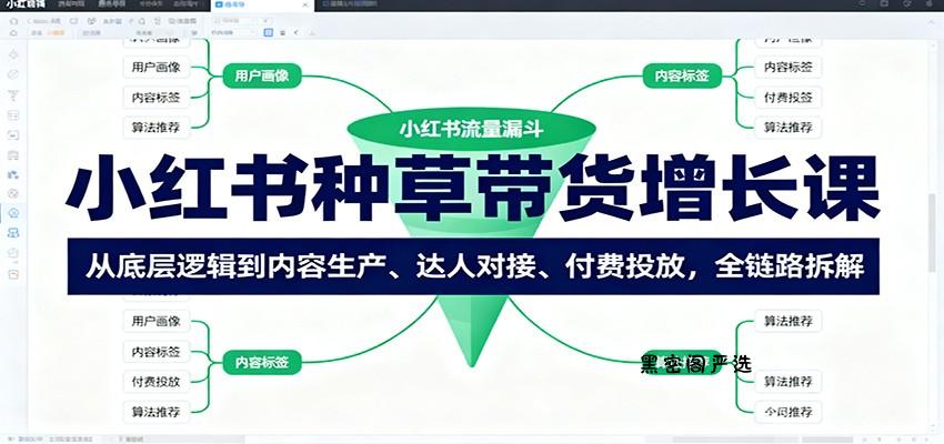 小红书种草带货增长课：从底层逻辑到内容生产、达人对接、付费投放，全链路拆解-HeiMiGe