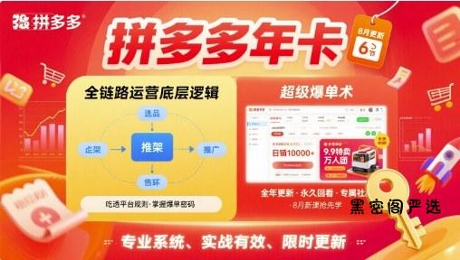 拼多多年卡，拼多多全链路运营底层逻辑，超级爆单术【更新10月】-HeiMiGe
