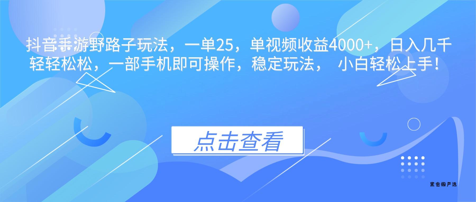 抖音手游野路子玩法，一单25，单视频收益4000+，日入几千轻轻松松，一...-HeiMiGe