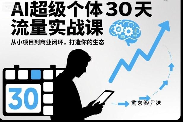 AI超级个体30天流量实战课，从小项目到商业闭环，打造你的生态-HeiMiGe