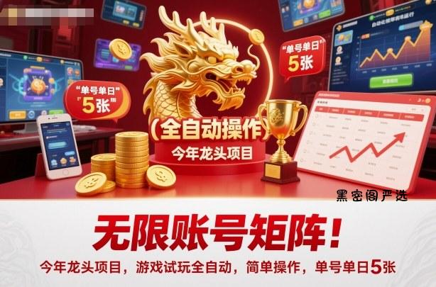 无限账号矩阵!今年龙头项目,游戏试玩全自动,简单操作,单号单日5张【揭秘】-HeiMiGe
