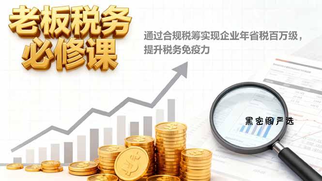 老板税务必修课，通过合规税筹实现企业年省税百万级，提升税务免疫力-HeiMiGe
