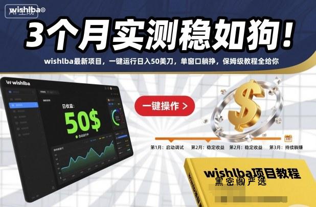 3个月实测稳如狗！wishlba最新项目，一键运行日入50美刀，单窗口躺挣，保姆级教程全给你【揭秘】-HeiMiGe