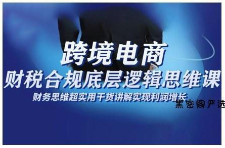 跨境电商财稅合规底层逻辑思维课，财务思维超实用于货讲解实现利润增长-HeiMiGe