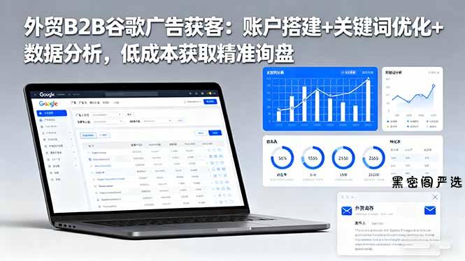 外贸B2B 谷歌广告获客：账户搭建+关键词优化+数据分析 低成本获取精准询盘-HeiMiGe