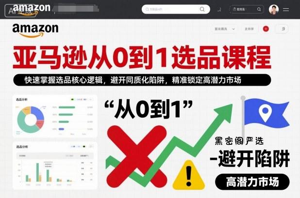 亚马逊从0到1选品课程，快速掌握选品核心逻辑，避开同质化陷阱，精准锁定高潜力市场-HeiMiGe