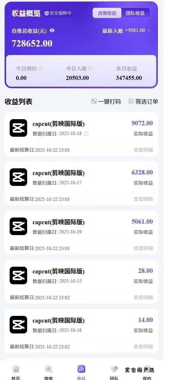 2025风口TK剪映capcut拉新项目,极限高客单,市场空白,2025下半年真正的蓝海项目