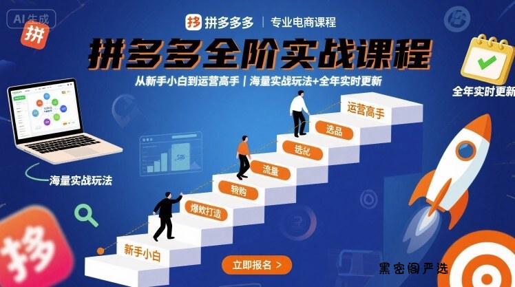 拼多多全阶实战课程，从新手小白到运营高手，海量实战玩法+全年实时更新【2025年10月更新】-HeiMiGe