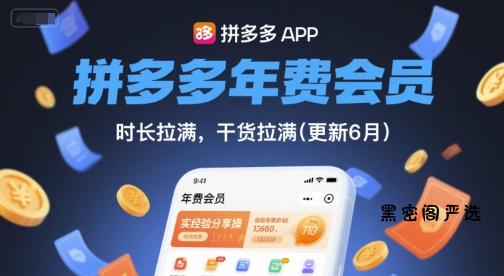 拼多多年费会员,实经验分享操,时长拉满,干货拉满(更新11月)-HeiMiGe