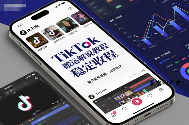 TikTok搬运解说教程，稳定收益，操作简单易懂，批量可做，持续稳定-HeiMiGe