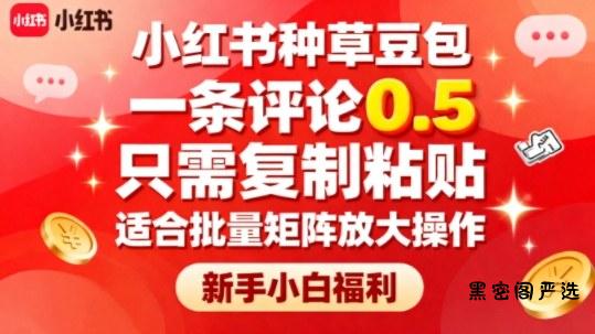 小红书种草豆包,一条评论0.5,只需复制粘贴,适合批量矩阵放大操作,新手小白福利
