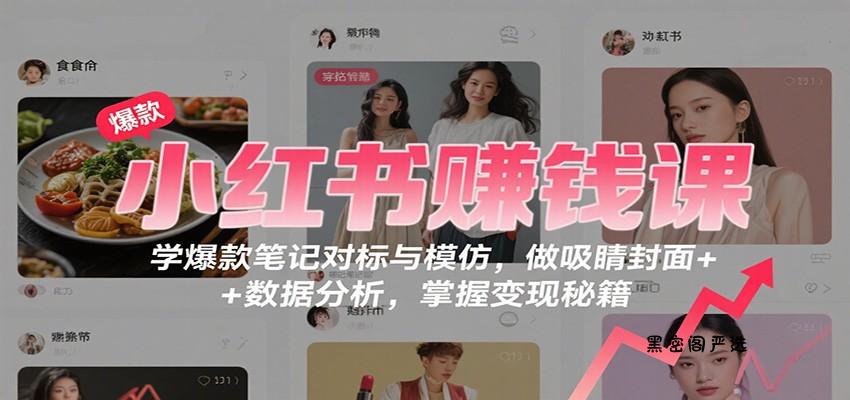 小红书赚钱课：学爆款笔记对标与模仿，做吸睛封面 + 数据分析，掌握变现秘籍-HeiMiGe