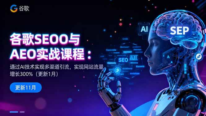 谷歌SEO与AEO实战课程：通过AI技术实现多渠道引流，实现网站流量增长300%-HeiMiGe