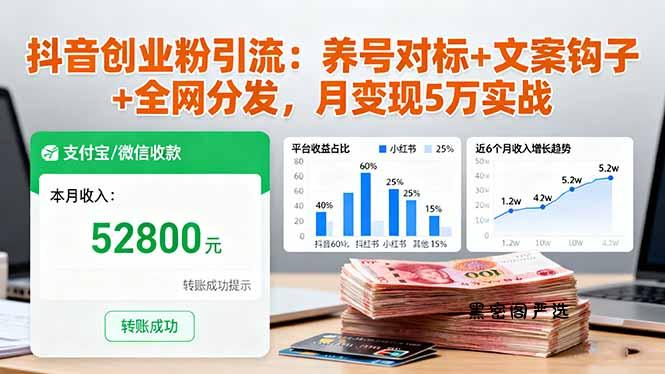 抖音创业粉引流：养号对标+文案钩子+全网分发，月变现5万实战-HeiMiGe