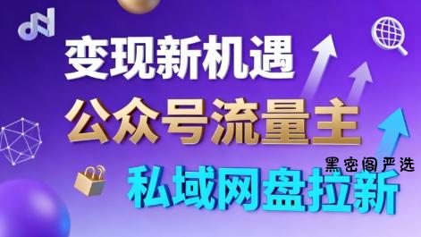 公众号流量主+私域网盘拉新，多方式变现，简单易上手，当天就有收益-HeiMiGe
